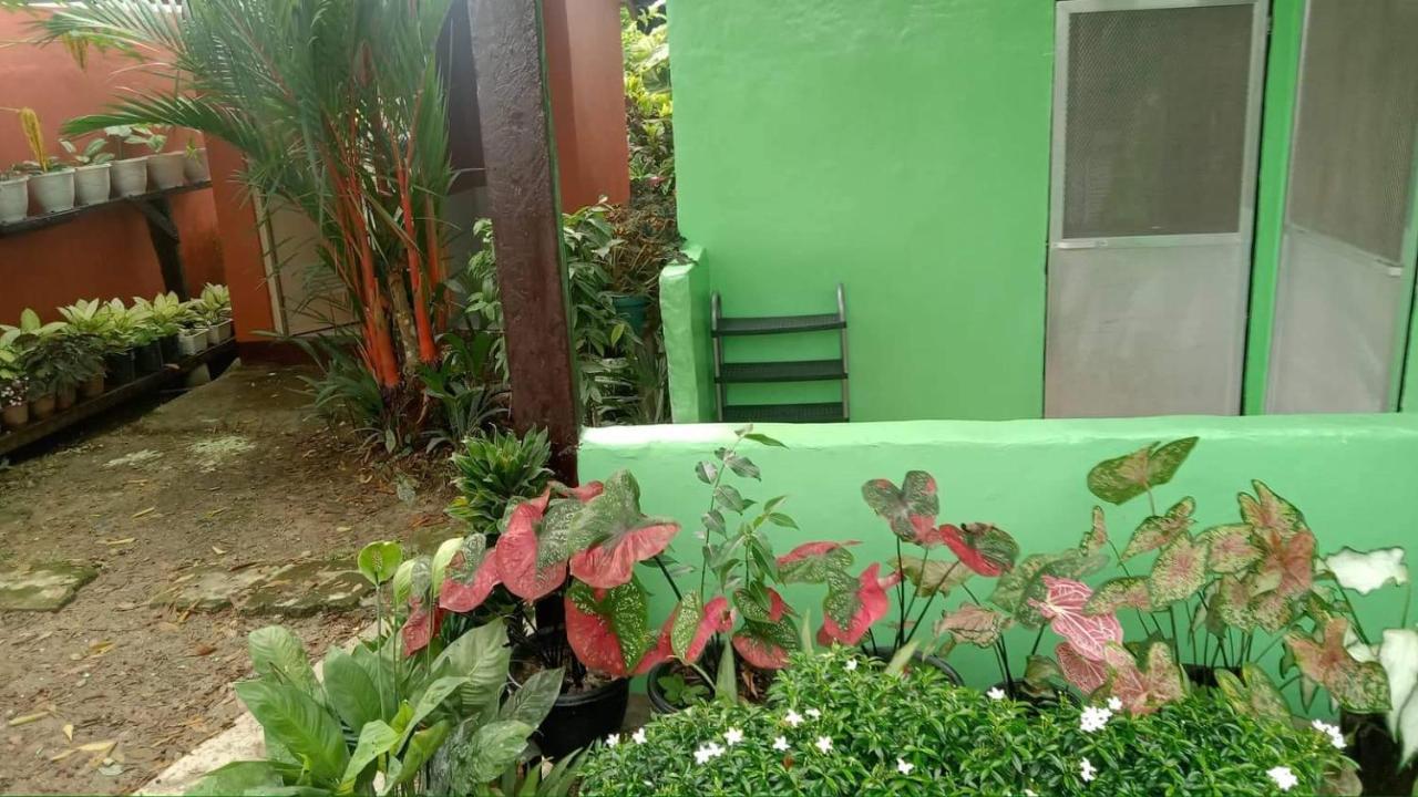 Charity Pension House San Vicente  Esterno foto